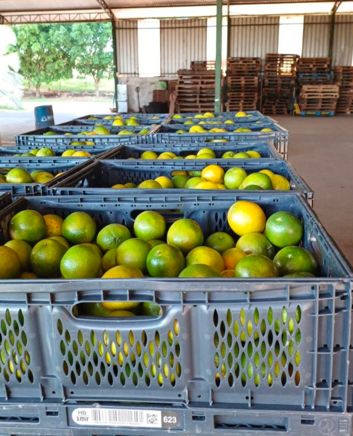 Caixas HB contribuem para a sustentabilidade em cada etapa da cadeia logística