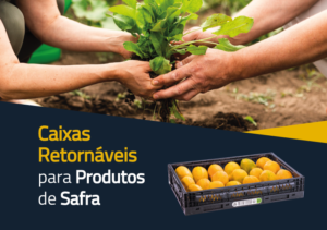 Caixas retornáveis para produtos de safra