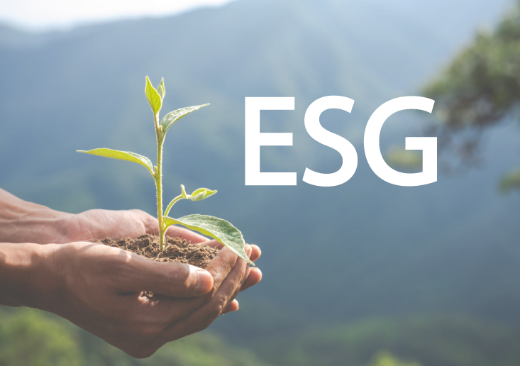ESG - Referência para as ações das empresas considerando o Ambiental, o Social e a Governança
